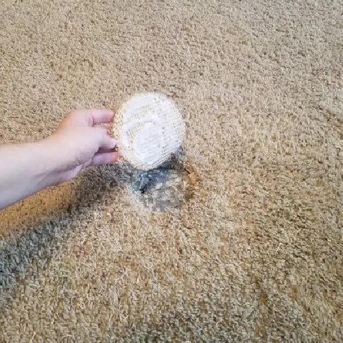Carpet Hole Repair Sydney